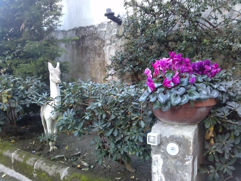 Bed and Breakfast Domus Aurea Neapel Exterior foto